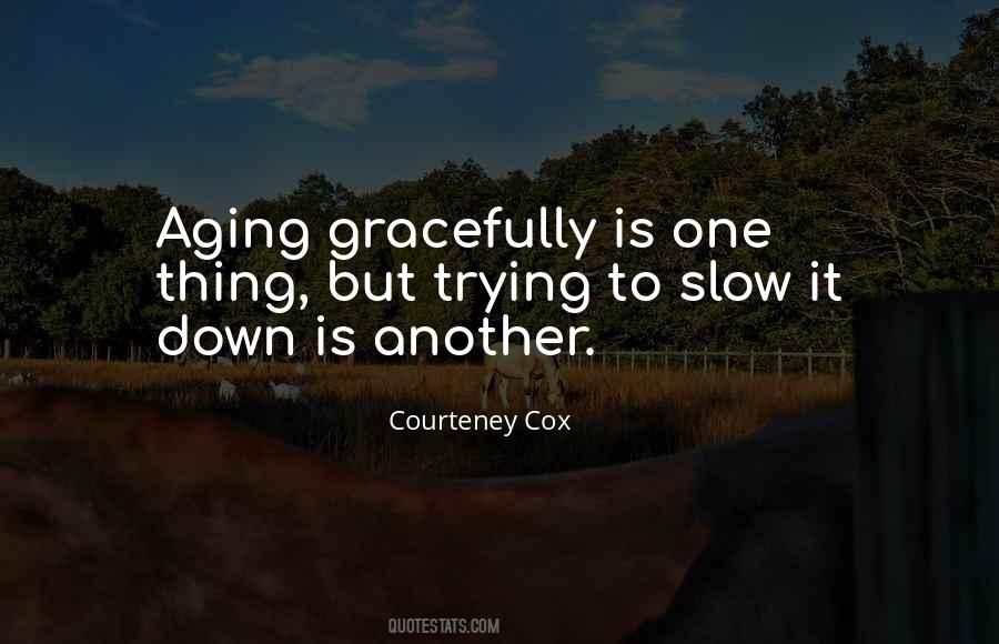 Quotes About Aging Gracefully #1016130