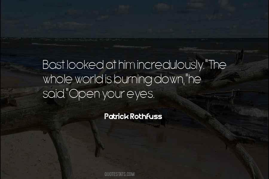 Quotes About The World Burning #1741645