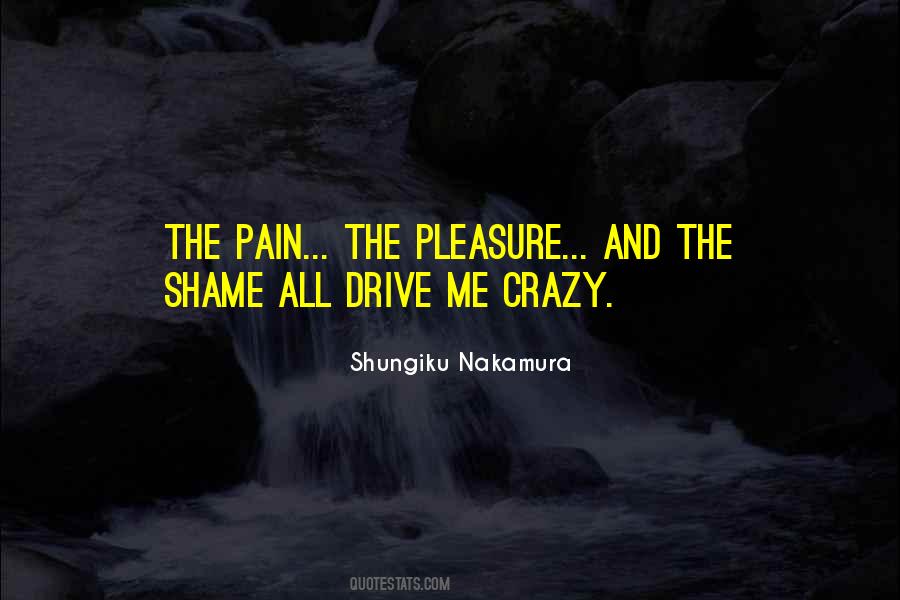 Drive Me Crazy Quotes #1083140