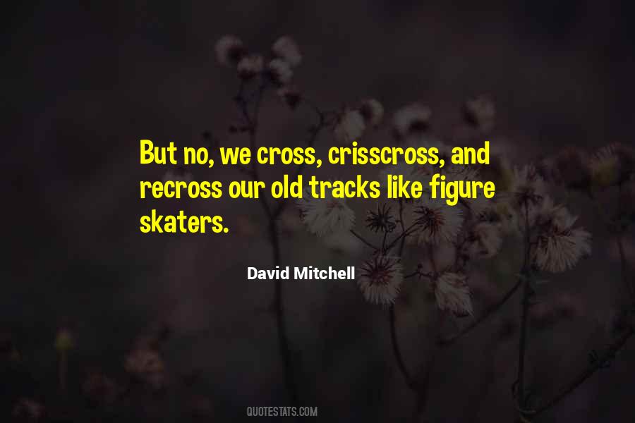 Quotes About Skaters #1280506