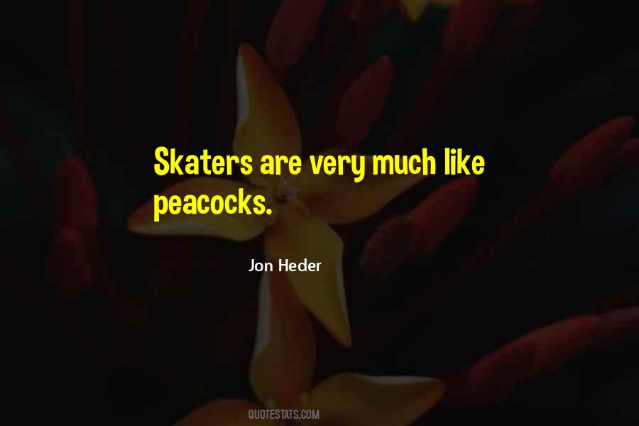 Quotes About Skaters #1349040