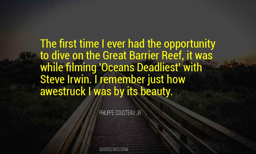 Quotes About Opportunity And Time #184910