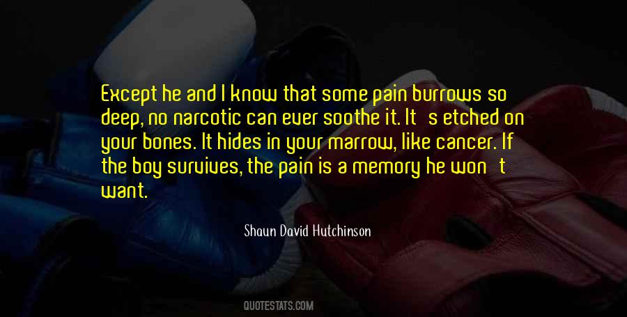 Quotes About Cancer Pain #1810727