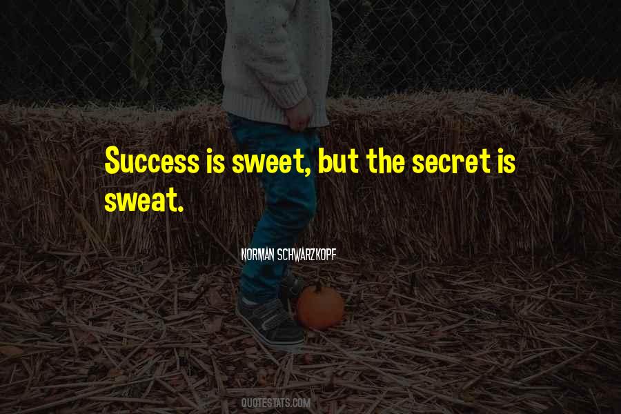 Success Secret Quotes #464992