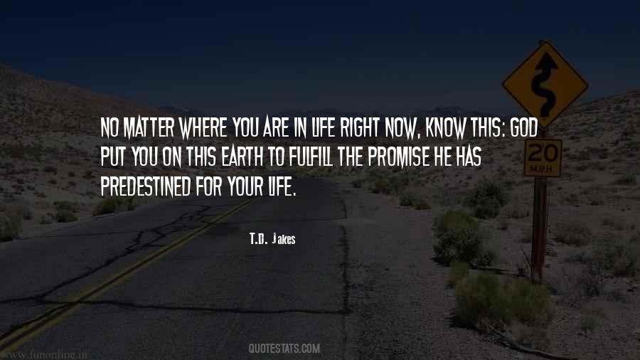 Quotes About Where You Are In Life #1041717