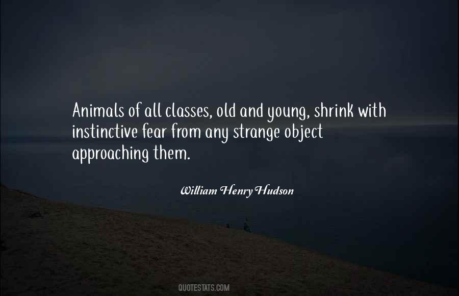 Strange Animals Quotes #1059092