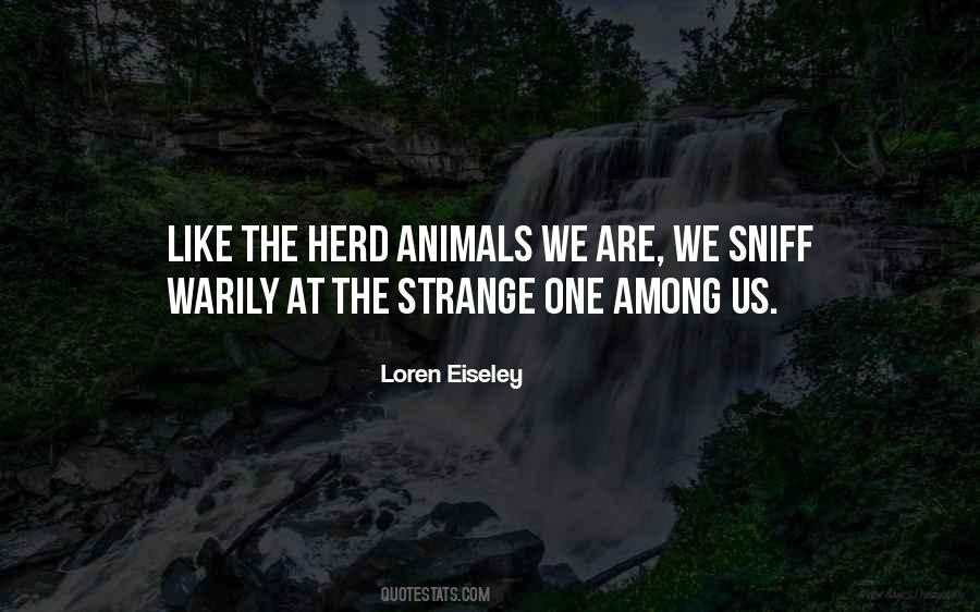 Strange Animals Quotes #1345166