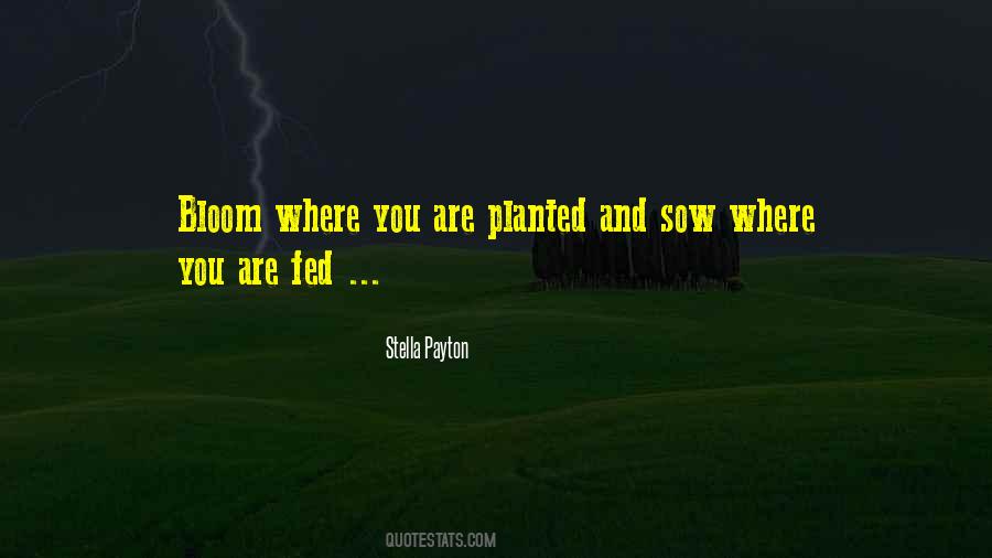 Quotes About Planted #1185215