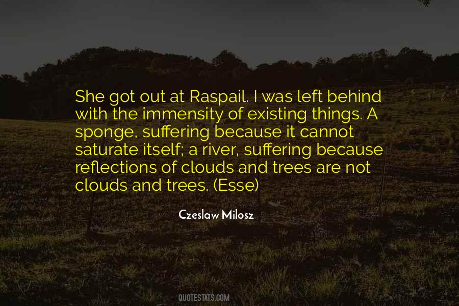 Quotes About Trees And Clouds #868684