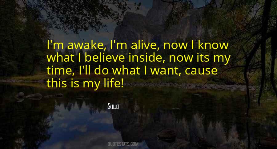 The Knight In Rusty Armor Quotes #958824