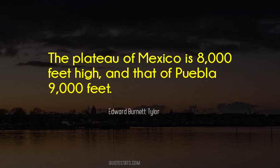 9 Feet Quotes #771626