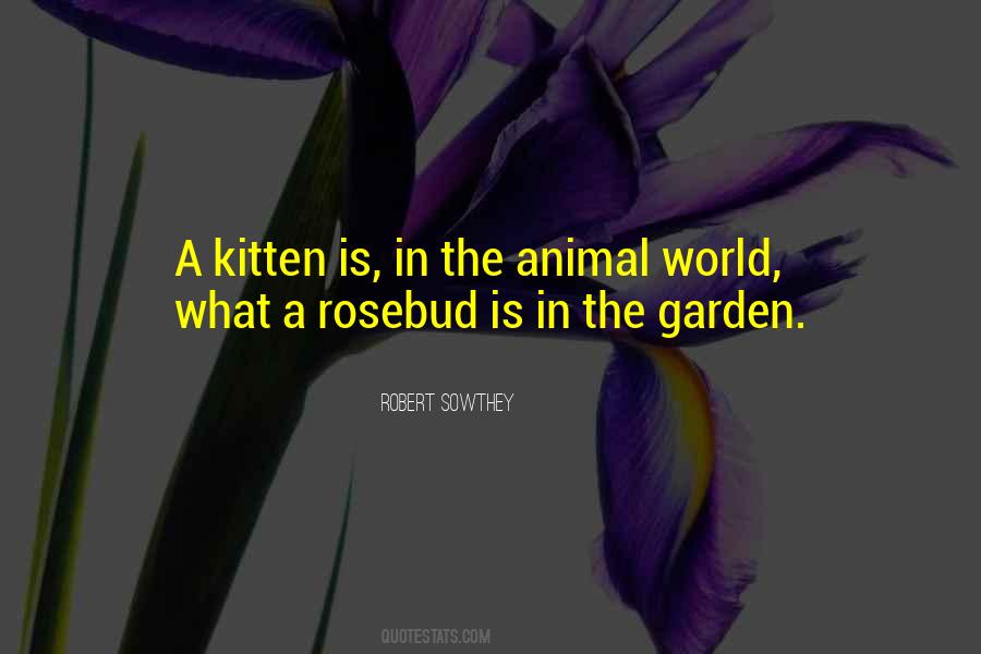 Animal World Quotes #1030448