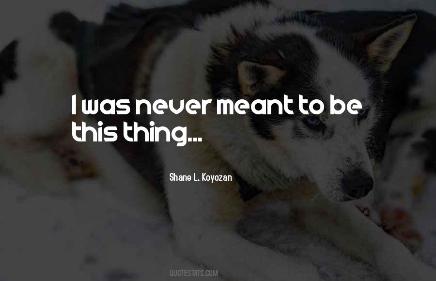 Quotes About Never Meant To Be #1424058