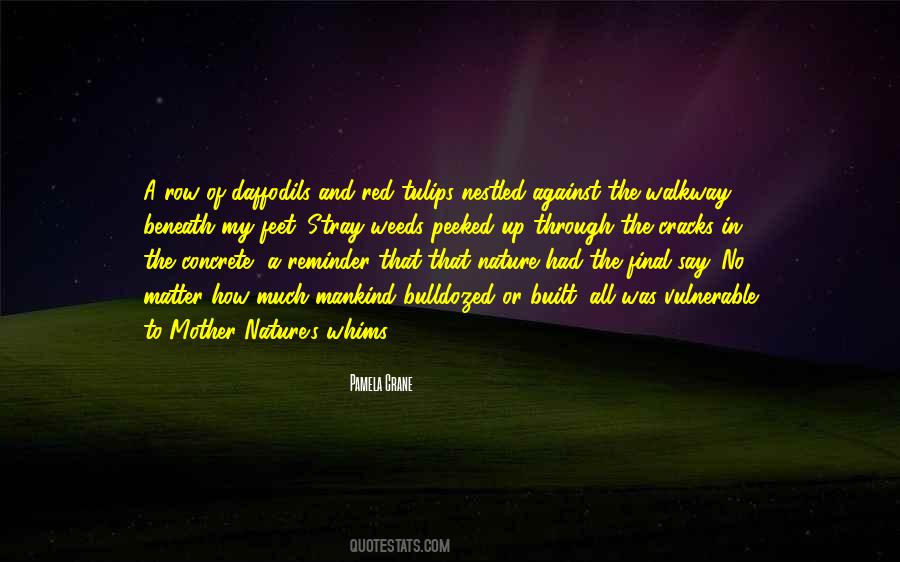 Quotes About Mother Nature #1328552