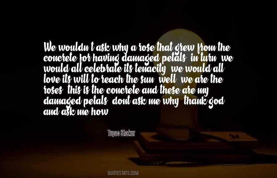 Rose Concrete Quotes #398745