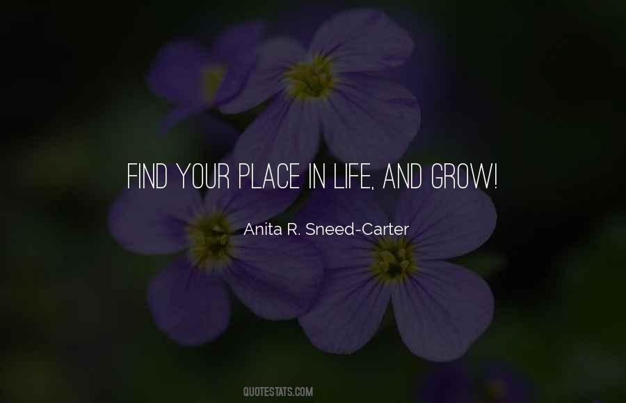 Quotes About Place In Life #1858727