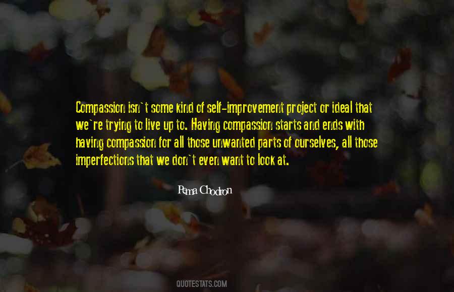 Quotes About Self Improvement #893693