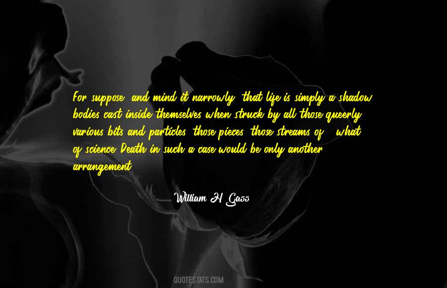Cast In Shadow Quotes #545280