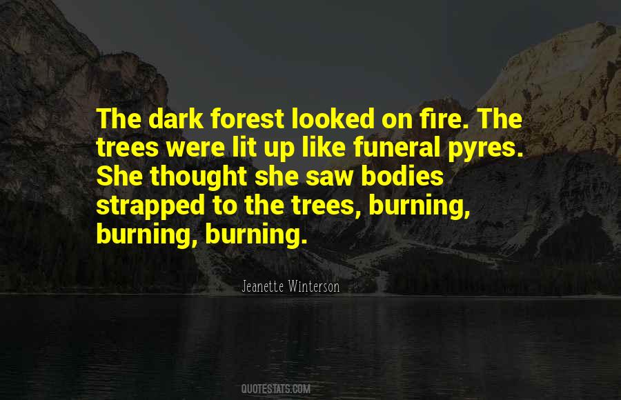 Quotes About Fire Burning #189463