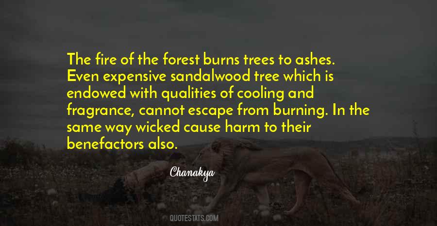 Quotes About Fire Burning #226431