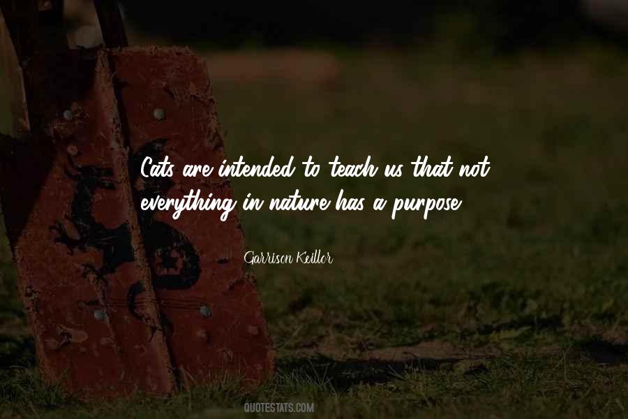 Humor Absurd Quotes #850157