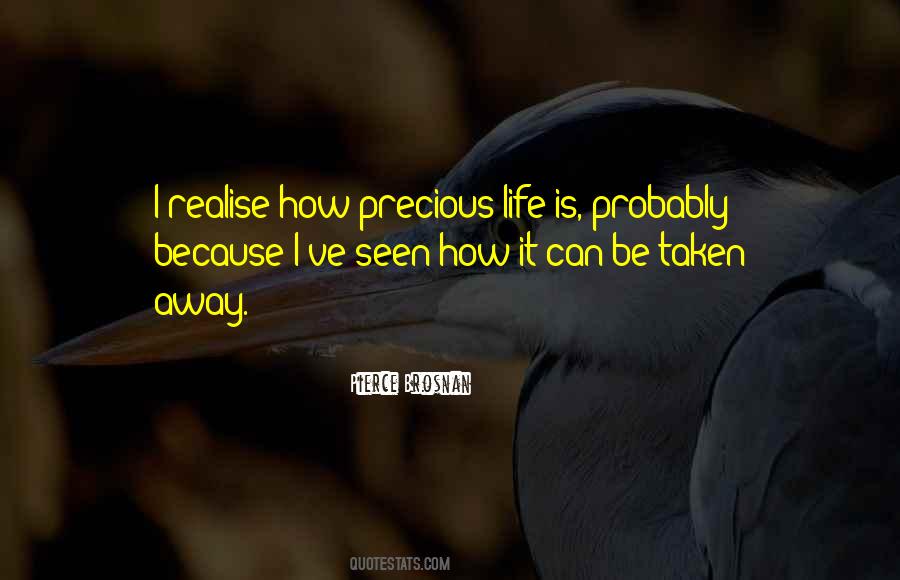 Quotes About How Precious Life Is #1638540