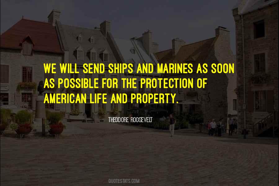American Life Quotes #1023270