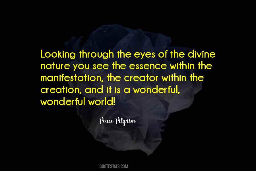 Wonderful Creation Quotes #940550
