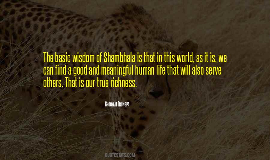 Quotes About Human Life #1769786