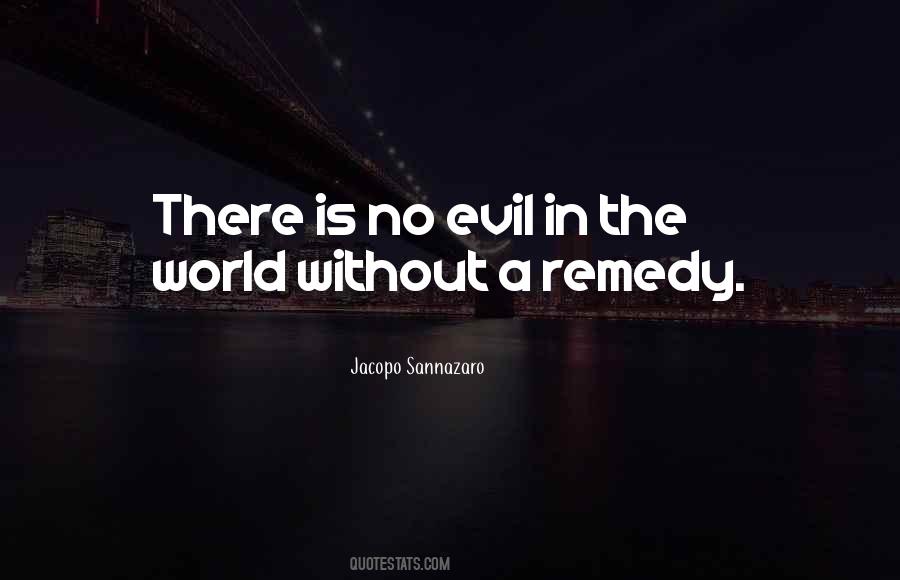 Quotes About Evil In The World #1460549