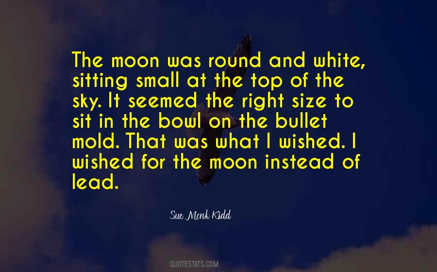 Small Moon Quotes #1270122