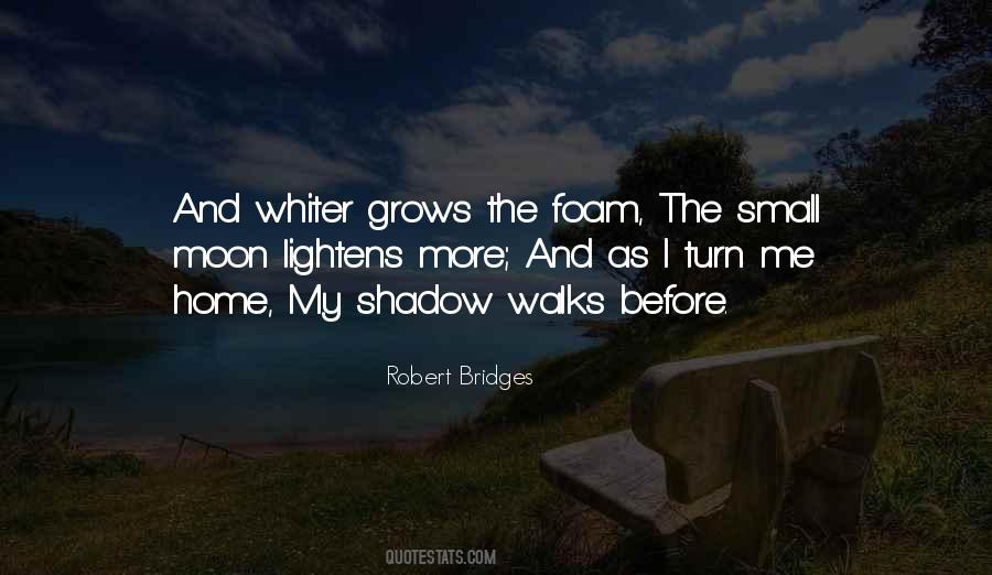 Small Moon Quotes #492531