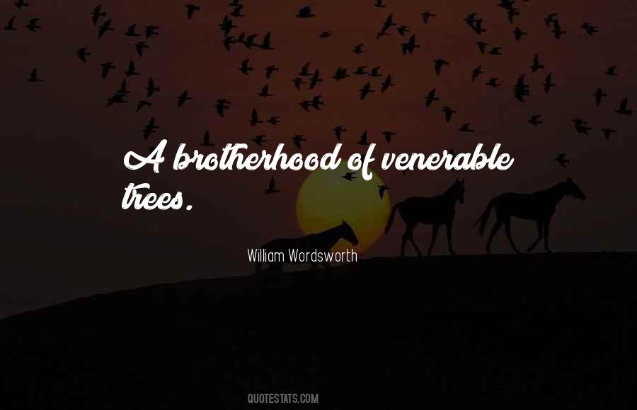 Quotes About A Brotherhood #1620710