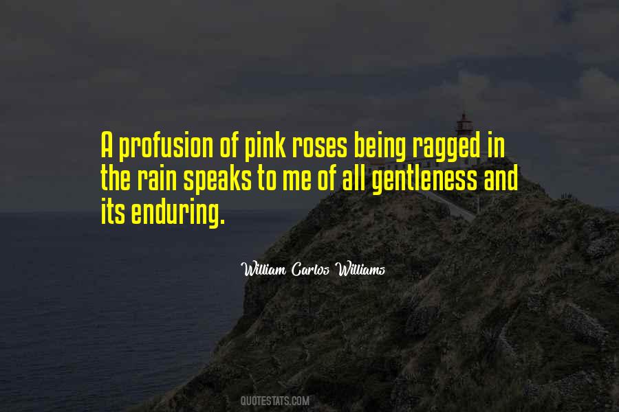 Quotes About Pink Rose #362116