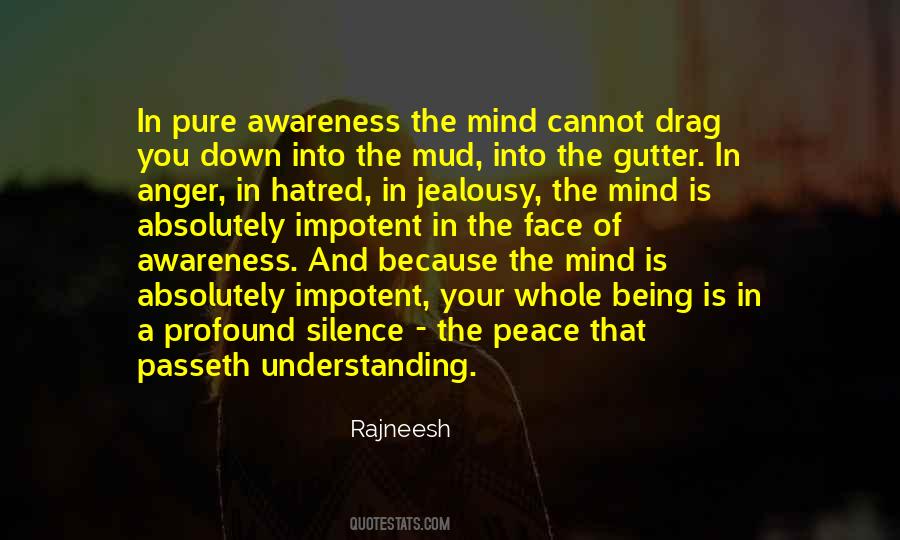 Peace Of Silence Quotes #1543921