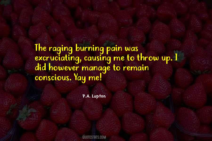 Quotes About Causing Pain #1734386