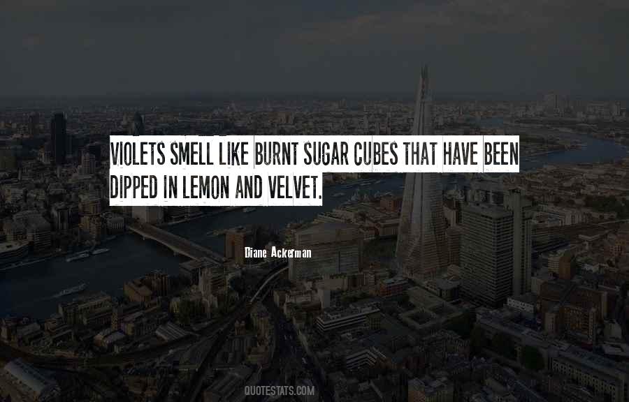 Quotes About Sugar Cubes #909235