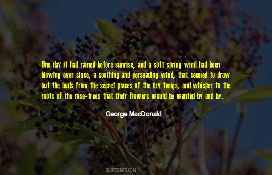 Top 44 Quotes About Flowers In The Wind: Famous Quotes & Sayings About ...