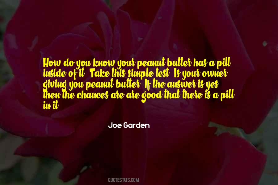 Quotes About Pill #943590