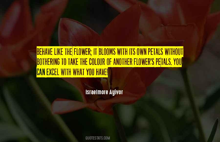 Quotes About A Rose That Blooms #1015461