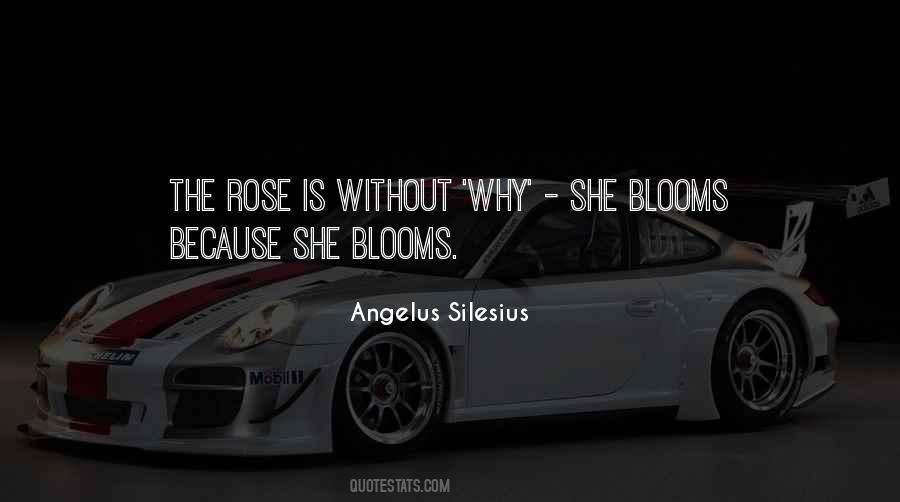Quotes About A Rose That Blooms #1477694