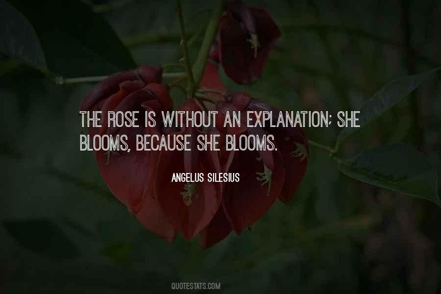 Quotes About A Rose That Blooms #508666