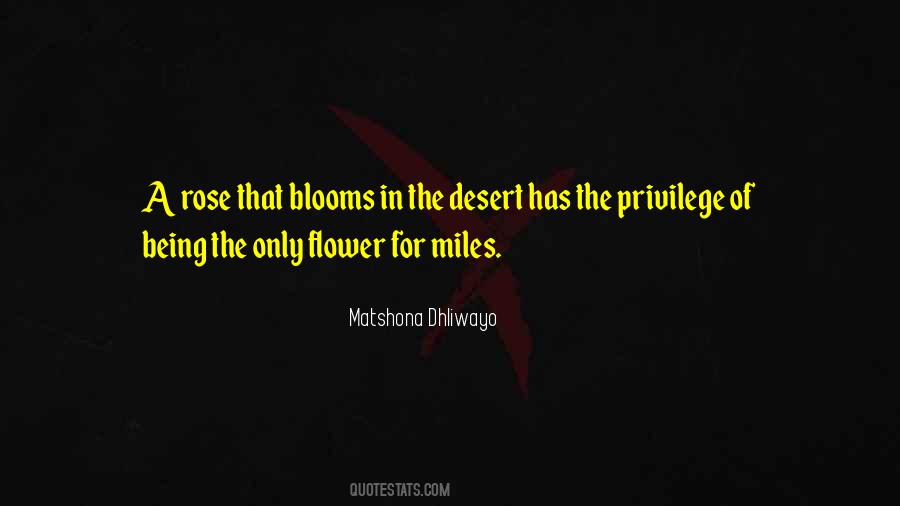 Quotes About A Rose That Blooms #773861