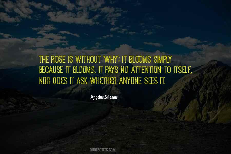 Quotes About A Rose That Blooms #924779