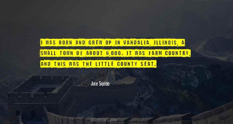 Quotes About Illinois #300592