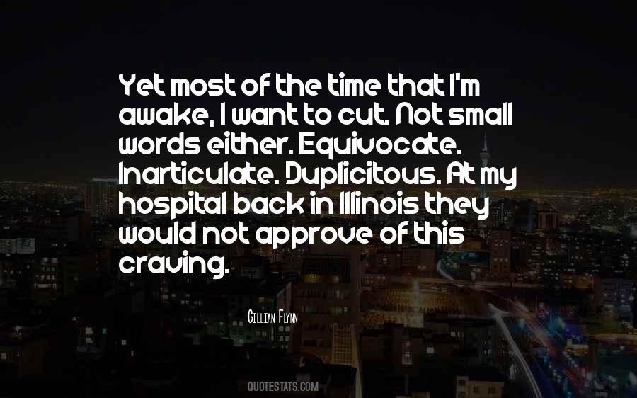 Quotes About Illinois #628759