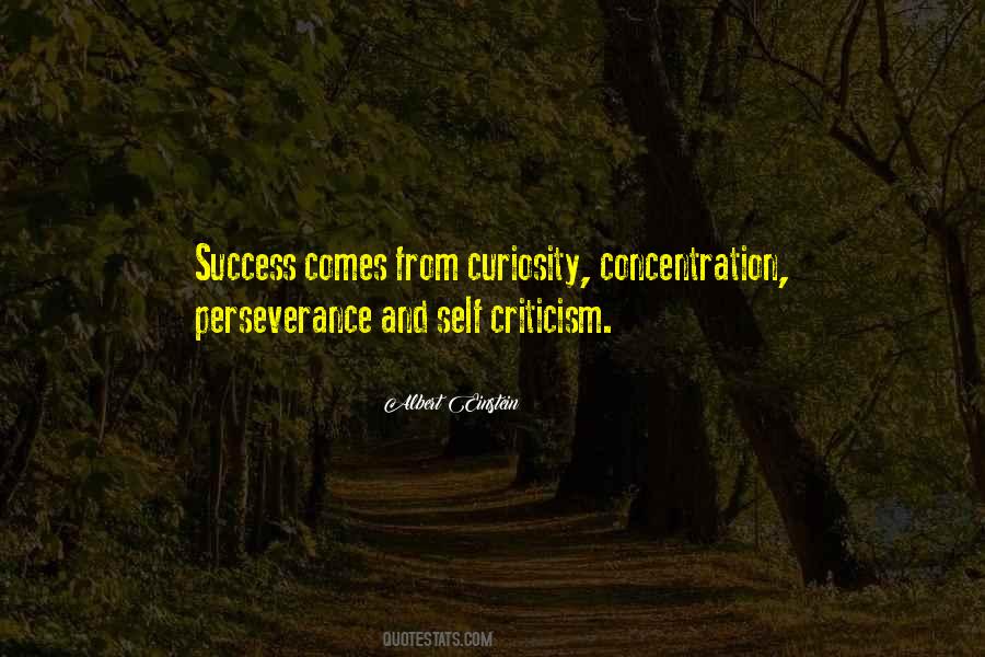 Success Comes From Quotes #1352756