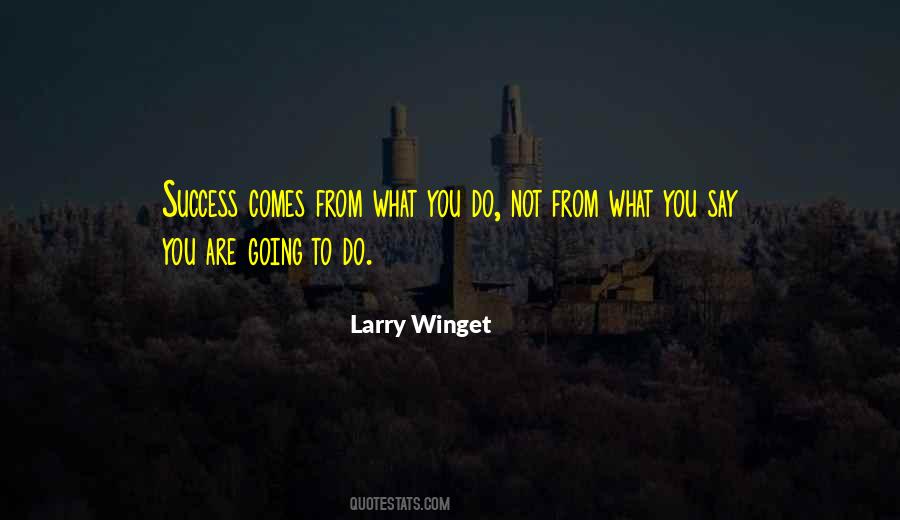 Success Comes From Quotes #272262