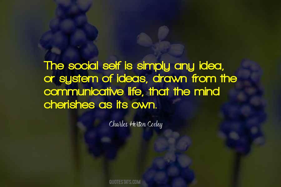 Mind System Quotes #1014865