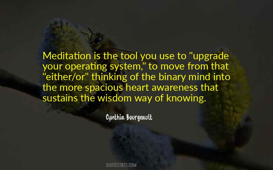 Mind System Quotes #897911